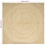 vidaXL Tapis Naturel et Blanc 300 x 300 cm Jute