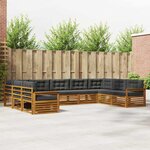 vidaXL Ensemble de canapés d'extérieur 9 pc Naturel et Anthracite