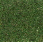 Herbe / mousse synthétique 30 cm