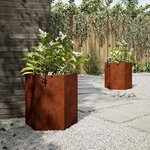 vidaXL Jardinières 2 Pièces hexagone 46x40x45 cm acier patinable