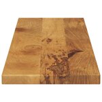vidaXL Dessus de table 120x40x2 5cm rectangulaire bois massif manguier