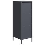 vidaXL Buffet haut anthracite 35x39x103 5 cm acier