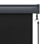 vidaXL Store roulant d'extérieur 170 x 250 cm Anthracite