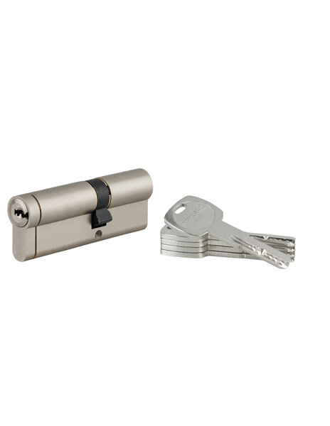 THIRARD - Cylindre de serrure débrayable Transit 1  35x50mm  5 clés  nickelé