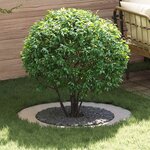 vidaXL Anneau d'arbre plat Argent Ø60 / 90 cm Acier inoxydable