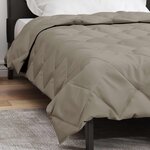 vidaXL Duvet complet toute l'année Gris clair 200 x 135 cm Microfibre