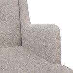 vidaXL Fauteuil Gris clair Bouclé
