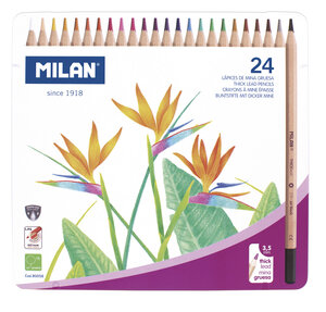 Crayons de couleur mine épaisse Ø 3 5 mm hexagonaux Boite métallique 24 pièces