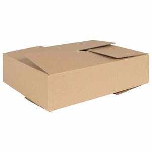 vidaXL Boîte Pliable 50 pièces Naturel 40 x 30 x 10 cm Carton
