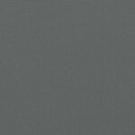 vidaXL Auvent latéral rétractable anthracite 160x600 cm