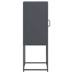 vidaXL Buffet anthracite 36x39x107 cm acier laminé à froid