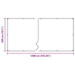 vidaXL Couverture pour plantes Transparent 2 x 12 m PE