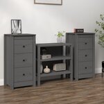 vidaXL Buffets 2 Pièces Gris 40x35x80 cm Bois massif de pin