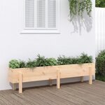 vidaXL Lit surélevé de jardin 160x30x38 cm bois de pin massif