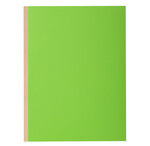 Pt 10 chem.à soufflet ROCK''S 320g vert EXACOMPTA