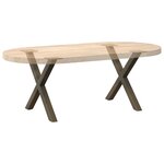vidaXL Pieds de table basse en forme de X  2 pièces  acier naturel  50 x (42-43) cm
