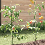 vidaXL Supports de plantes en spirale 50 Pièces Acier galvanisé 170 cm