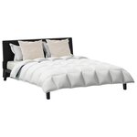 vidaXL Ensemble de Duvet avec oreiller 3 Pièces Blanc Plume de canard