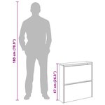 vidaXL Armoire à chaussures avec miroir à 2 niveaux Noir 63x17x67 cm