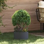 vidaXL Pots en métal anthracite Anthracite Métal Moyen