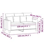 vidaXL Canapé à 2 places Noir 120 cm Velours