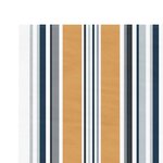 vidaXL Tissu de remplacement pour auvent rayures multicolores 6x3 5 m