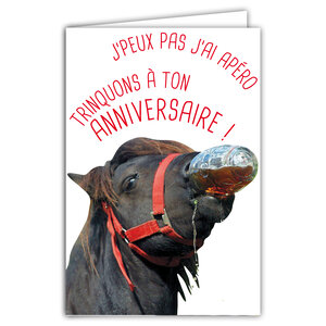Carte Bon Anniversaire Humoristique avec Enveloppe Illustrée format 17 5x12cm Cheval Poney Drôle Amusant Rigolo qui trinque boit un verre à l'Apéro Santé! - Création Fabrication française 69-6210