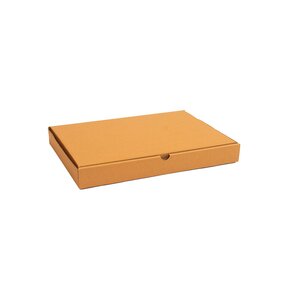 boite carton extra plate 31x22x5cm