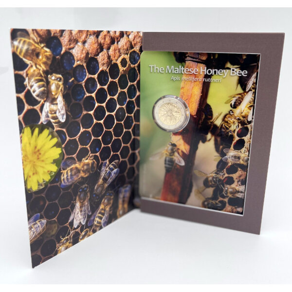 2 euros commémorative Malte 2024 - Abeille Maltaise en coffret BU.