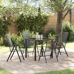 vidaXL Ensemble de salle à manger pour jardin 5 Pièces Anthracite Acier