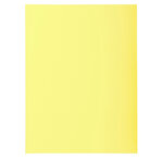 Pt 5 chem. 2 rabats SUPER 220 assorti x 10 EXACOMPTA