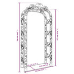 vidaXL Arche de jardin Noir 116x45x240 cm Acier