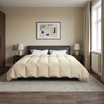 vidaXL Duvet d'hiver 240 x 260 cm Hiver Microfibre (100  polyester)