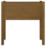 vidaXL Jardinière Marron miel 70x31x70 cm Bois de pin massif