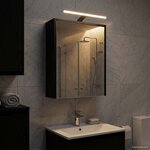 vidaXL Armoire Miroir de Salle de Bain Chêne noir 43 x 16 x 62.5 cm