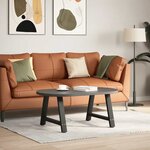 vidaXL Pieds de table basse en forme de A  2 pièces  noir  70 x (42-43) cm  acier