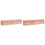 vidaXL Jardinières 2 Pièces bois massif douglas