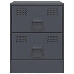 vidaXL Tables de chevet 2 Pièces anthracite 34 5x39x44 cm acier