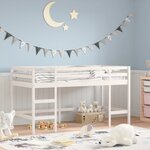 vidaXL Lit mezzanine d'enfants sans matelas avec échelle 90x200 cm