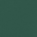 vidaXL Auvent latéral rétractable vert foncé 100x300 cm