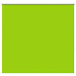 vidaXL Store enrouleur occultant largeur du tissu 161 6 cm polyester