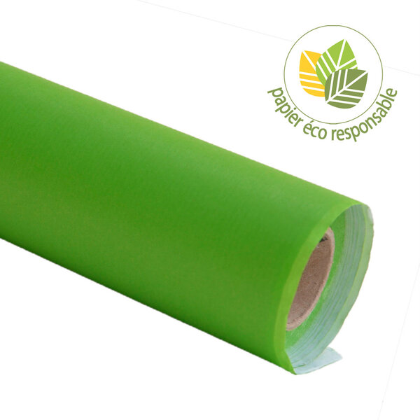 Papier Cadeau Kraft Vert 25 mètres