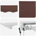 vidaXL Cadre d'auvent Marron 300 x 200 cm Polyester avec revêtement PU