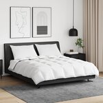 vidaXL Duvet d'hiver avec oreiller 3 Pièces Blanc Plume de canard