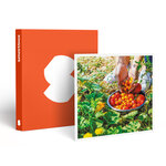 SMARTBOX - Coffret Cadeau Atelier écologique de permaculture et visite guidée d'une ferme à Montpellier - Sport & Aventure