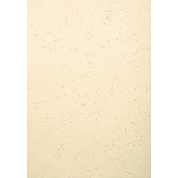 Paquet De 100 Couvertures Grain Cuir Pour Reliure A4 - Ivoire - Papeteries De Clairefontaine