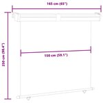 vidaXL Auvent latéral de balcon 165x250 cm noir