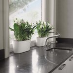 Lechuza jardinière de table delta 20 all-in-one blanc brillant 15560