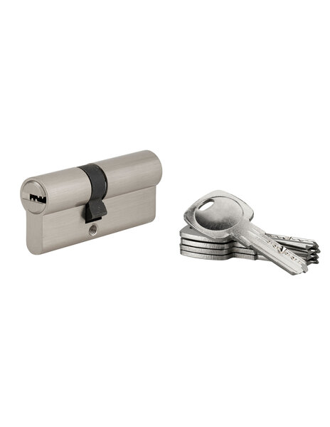 SP - Cylindre de serrure à  double entrée Tiger 6 Dynamic  30x40mm  nickelé  anti-arrachement  anti-perçage  5 clés - SP