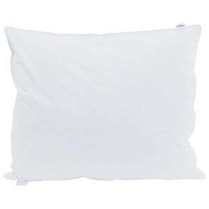 vidaXL Oreiller avec oreiller Blanc 60 x 70 cm Plume